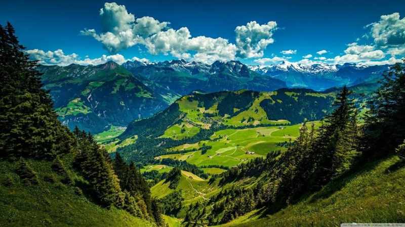 Shimla