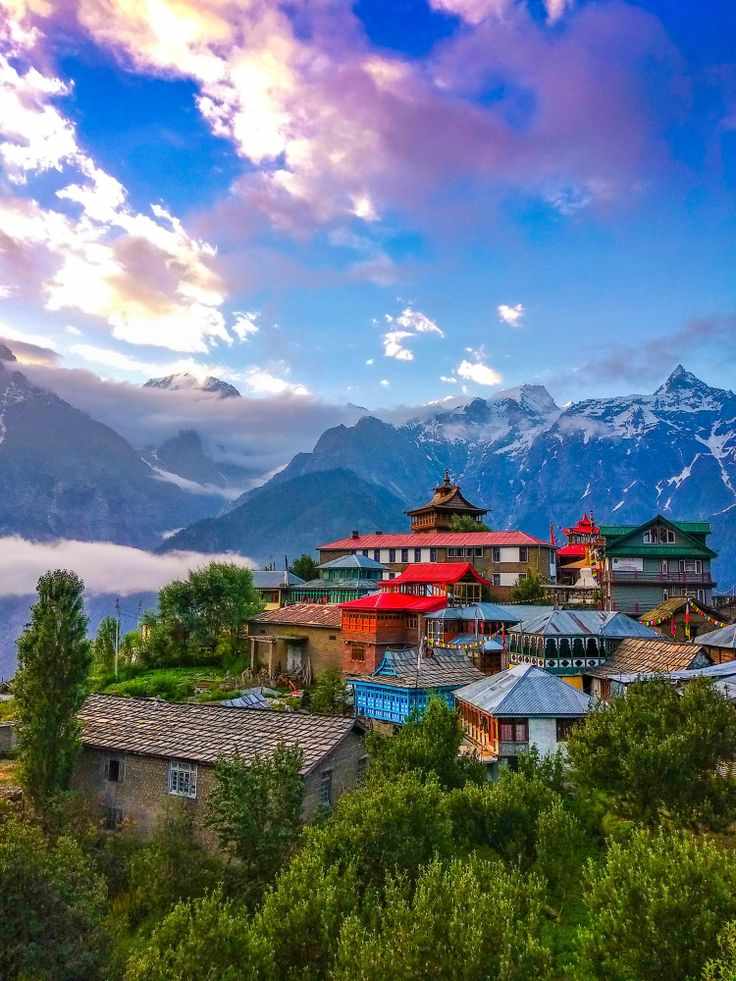 Shimla